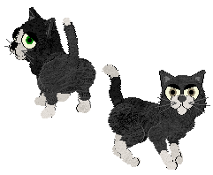 Two Black and White Shorthairs in Petz. Both are primarily black with white patches. The first one has a white face streak, a small white tail tip, white feet, and green eyes. The second one has a larger white tail tip, more white on the feet, and dusty-coloured eyes.