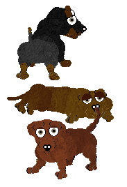 Three Dachshunds in Petz. From top to bottom, the first one is black with brown eyebrows, brown feet, a brown tail tip. The second one is solid brown. The third one is a solid reddish-brown colour. All three have the same dusty-coloured eyes.