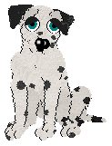 A Dalmatian in Petz, with white fur, black spots, black ears, and teal eyes.
