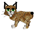 A Desert Lynx in Petz, with patterned brown fur, white feet, a black bobtail, black ear tufts, and green eyes.