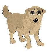 A Golden Retriever in Petz, with cream-coloured fur and tan eyes.