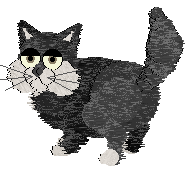 A Honey Bear in Petz, with patterned black fur, a white muzzle and feet, and dusty-coloured eyes.