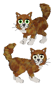Two Maine Coons in Petz. Both are primarily textured brown with white muzzles, feet, and chest patch. The first has green eyes. The second has dusty-coloured eyes and a white face streak.