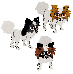 Three Papillons in Petz. From top to bottom, all three are primarily whit with reddish-brown eyes. The first has orange fur with some brown patches around the face. The second has black fur around the face. The third has reddish-brown fur with black patches around the face.