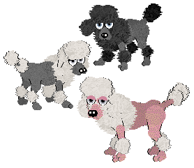 Three Poodles in Petz. From top to bottom, the first one has grey skin and black fur, blue eyes, and is mini. The second one has grey skin and white fur, light grey eyes, and is mini. The third one has pink skin and white fur, light grey eyes, and is regular size.