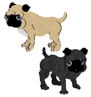 Two Pugs in Petz. From top to bottom, the first one is cream-coloured with a white chest patch, a black muzzle, and black ears. The second is all-black. Both have blue-grey eyes.
