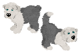 Two Sheepdogs in Petz. Both are white and grey with teal eyes, but the first one has a short tail and the second one has a long tail with a white tip.