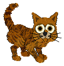 A Tabby in Petz, with textured orange fur and tan eyes.