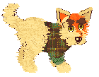 An image of Fox, a tan dog with orange markings on his face and green eyes. He is wearing a green and brown plaid sweater.
