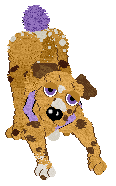 An image of Nutmeg, a light orange Dalmatian with brown ears and spots, a purple gumdrop tail, and a purple collar with a white tag.