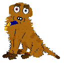 An image of Sunset, a Mixie resembling a Dachshund in Petz. She is an orange, fluffy dog with slightly darker orange spots, brown eyebrows, brown paws, a brown tail tip, one pink eye, and one light blue eye. She is wearing a blue collar with a gold charm.