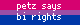 A 'clique', a small digital element, with the pattern of the bisexual pride flag. The text overlaid reads 'petz says bi rights' in all lowercase.
