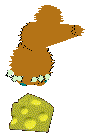 Dust Bunny eats cheese.