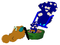 Bluescreen eats from the green food bowl. Dust Bunny and Blueberry Jam watch him.