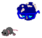 Blueberry Jam looks at a grey mouse running around.