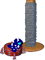 Bluescreen sits on the red tasselled pillow. The scratching post is beside him.