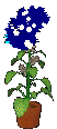 Bluescreen eats catnip.