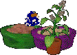 Bluescreen surrounded by a green food bowl, a purple food bowl, and a catnip plant.