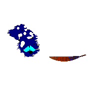 Bluescreen plays with red, faintly spotted feather.