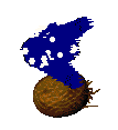 Bluescreen naps on a brown coconut.