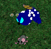 Bluescreen balances on a grey mouse. A yellow butterfly lands on his back.