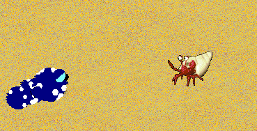 Bluescreen approaches and pounces on a hermit crab.