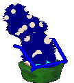 Blueberry Jam eats from the green food bowl