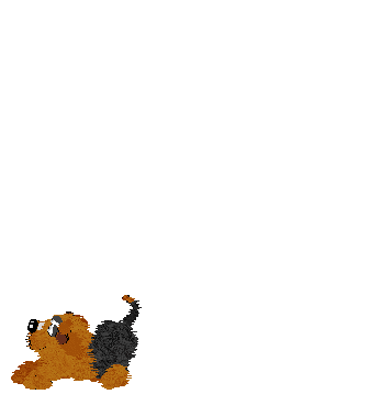 Fluffball, again, tries and fails at catching the disk.