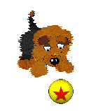 Fluffball looks curiously at the yellow star ball.