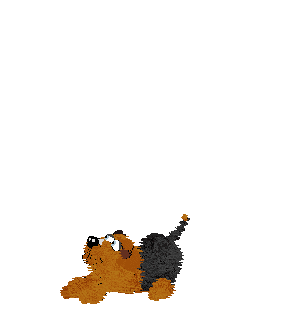 Fluffball tries and fails yet again at catching the green flying disk.