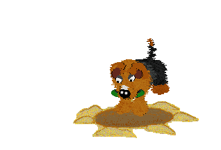 Fluffball puts the flying disk in a sandy hole and buries it.