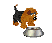 Fluffball sways from side to side behind a food dish.