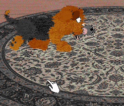Fluffball prances around and then sits down with a grey mouse.