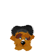 Fluffball lies on the ground, looks around, occasionally hides her eyes, and then shakes her head and stands up and barks.