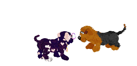 Fluffball and Domino, a dark purple dog with white spots, play-fight each other before sitting and panting happily.