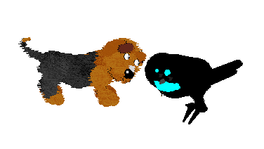 Fluffball and Lopho paw curiously at each other.