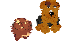 Fluffball and Sebbie, a chubby chipmunk-like pet with glasses, both lie down and pant in the exact same manner.