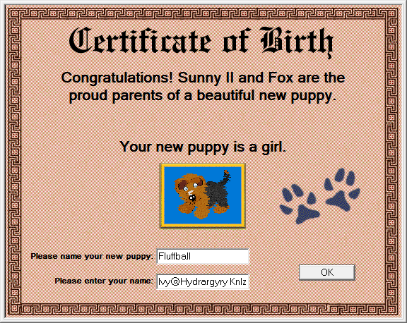 A birth certificate in Petz, showing an orange and black dog with a white snout spot, brown eyebrows, and pale blue eyes, named Fluffball.