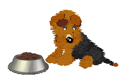 Fluffball looks worriedly at the food dish.