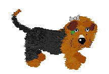 Fluffball stands, looking around and barking intermittently. She now has a small white bow on the side of her head and a green collar.