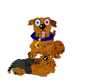 Sunny II sits behind Fluffball and barks.